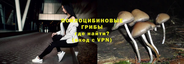 mdpv Костерёво