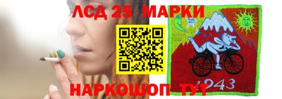 крисы Берёзовский