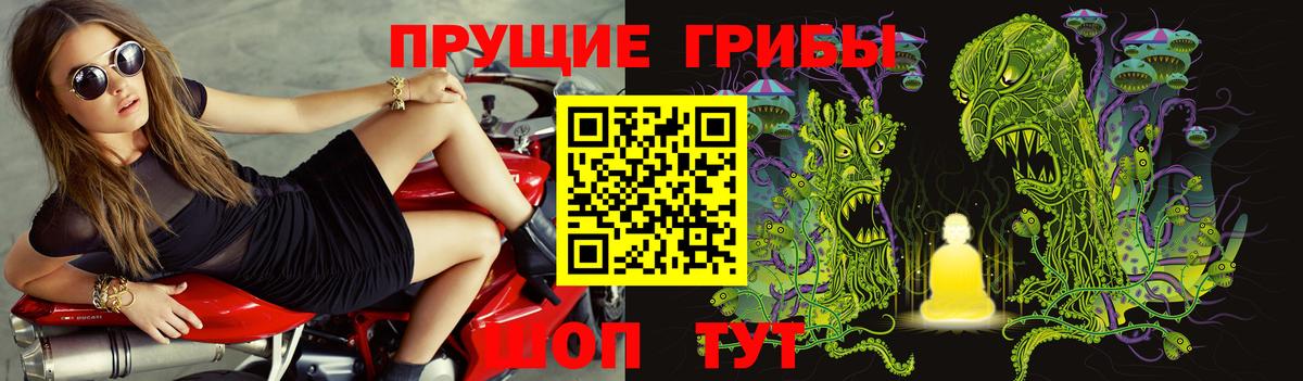 Галлюциногенные грибы GOLDEN TEACHER  Благодарный 