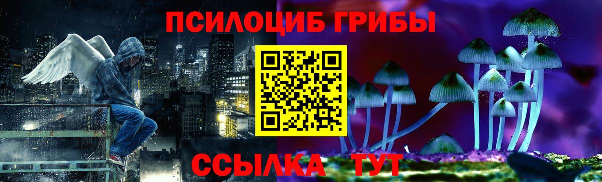 Благодарный  Псилоцибиновые грибы ЛСД  Вход с VPN  Псилоцибиновые грибы мицелий 