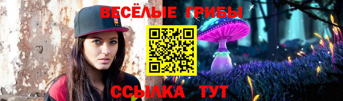 Галлюциногенные грибы GOLDEN TEACHER Благодарный