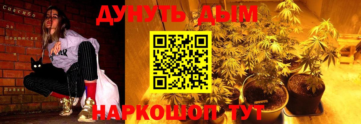 Каннабис AK-47 Благодарный